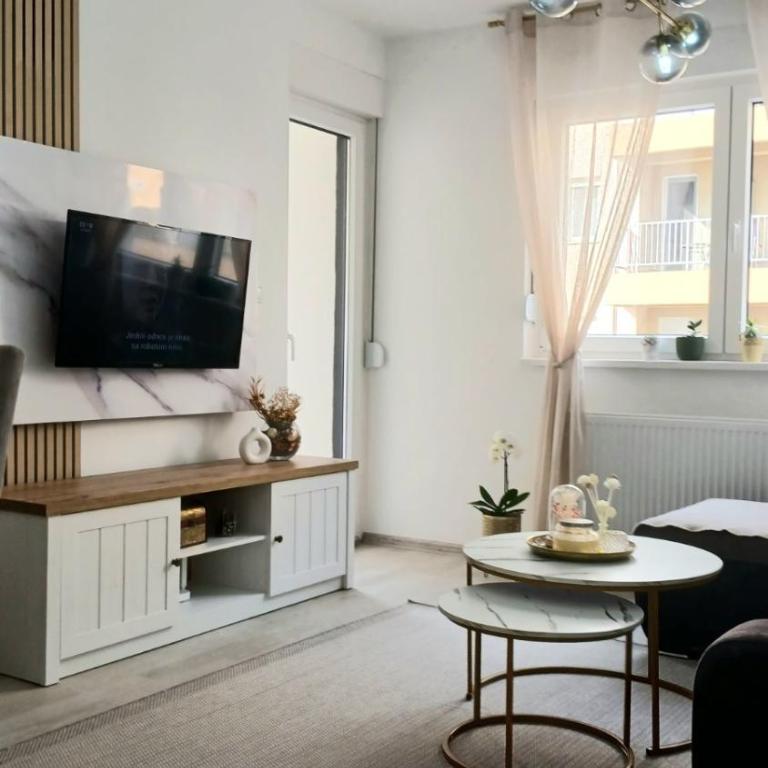 Studio Arija -na par koraka od PARKA - Banja Koviljača - Studio - 6