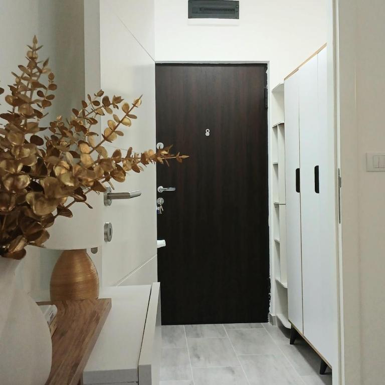 Studio Arija -na par koraka od PARKA - Banja Koviljača - Studio - 12