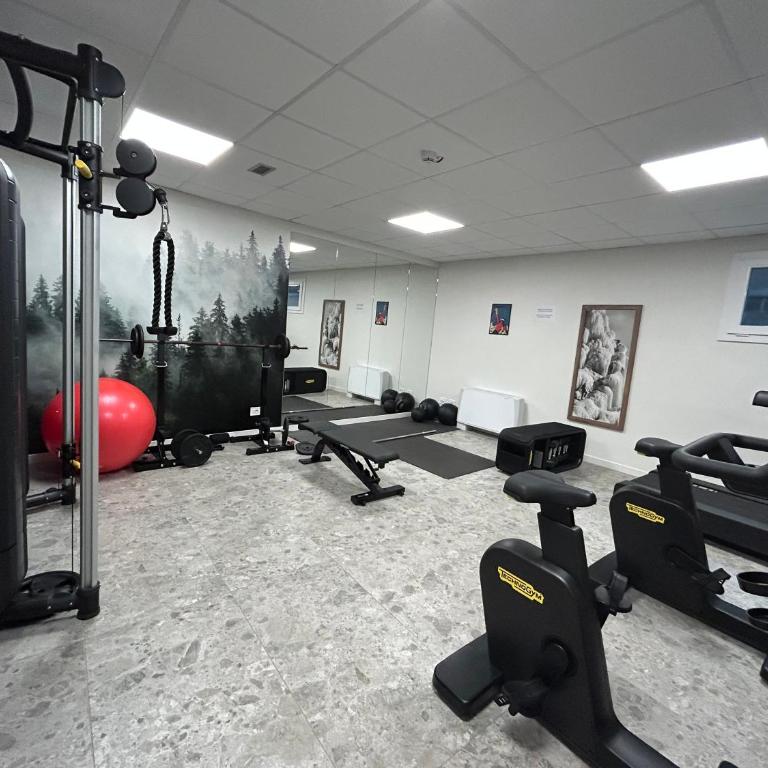 Petite Maison Du Coeur Champoluc - Spa, Gym e Aree relax - Appartement Supérieur avec Balcon - 32