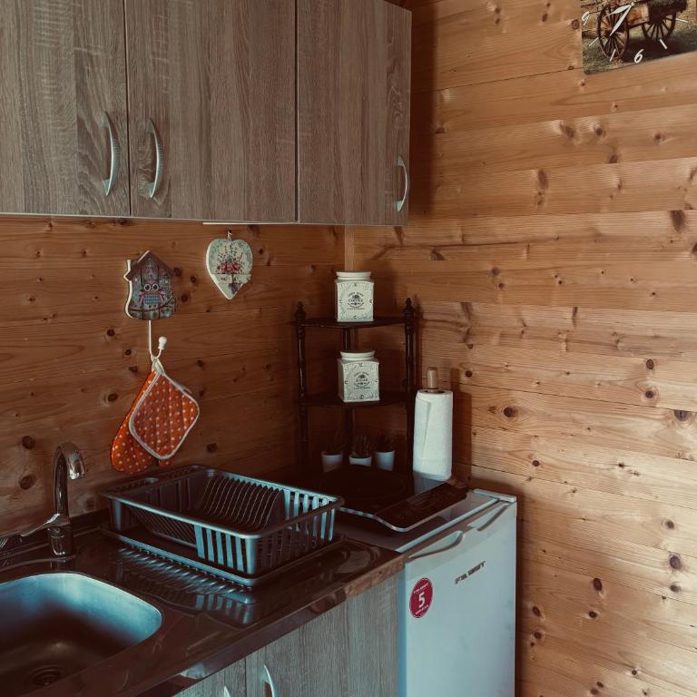 Brvnare Nikolić - Kuća sa 1 Spavaćom Sobom - 6