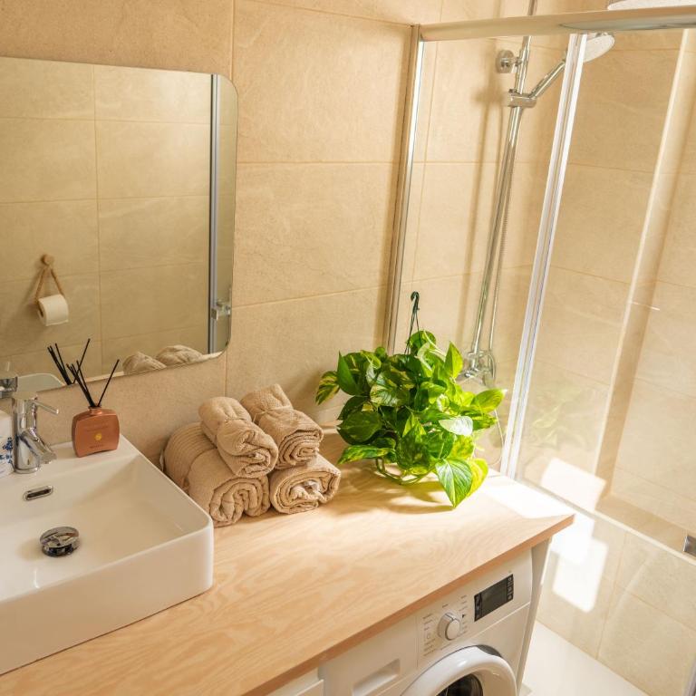 Brightcarihuela - Apartamento de 1 dormitorio - 7