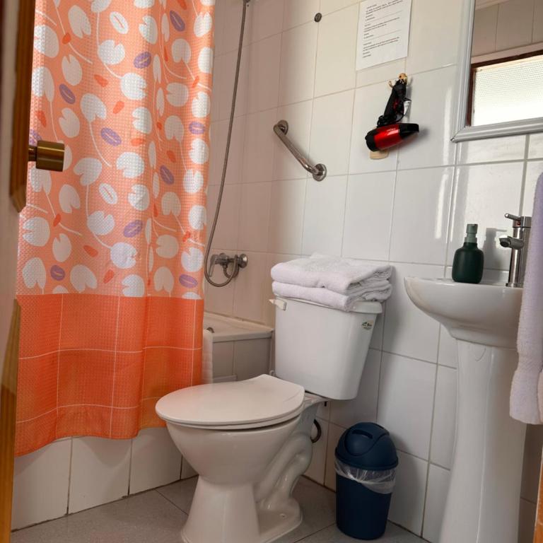 Cabañas Bosque Sur - One-Bedroom Cottage - 5