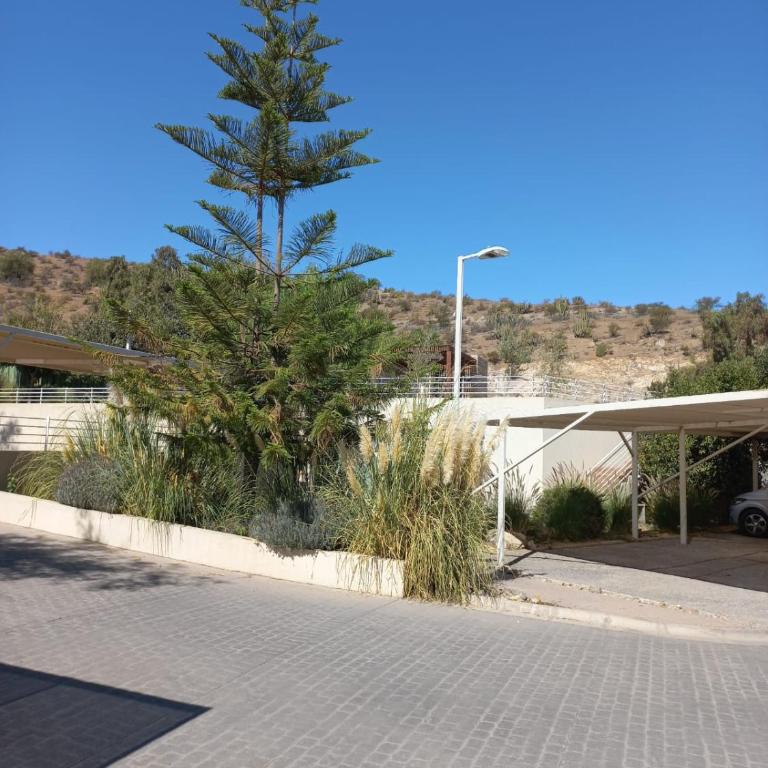 Precioso departamento en el centro de Los Andes - Apartamento de 2 dormitorios - 23