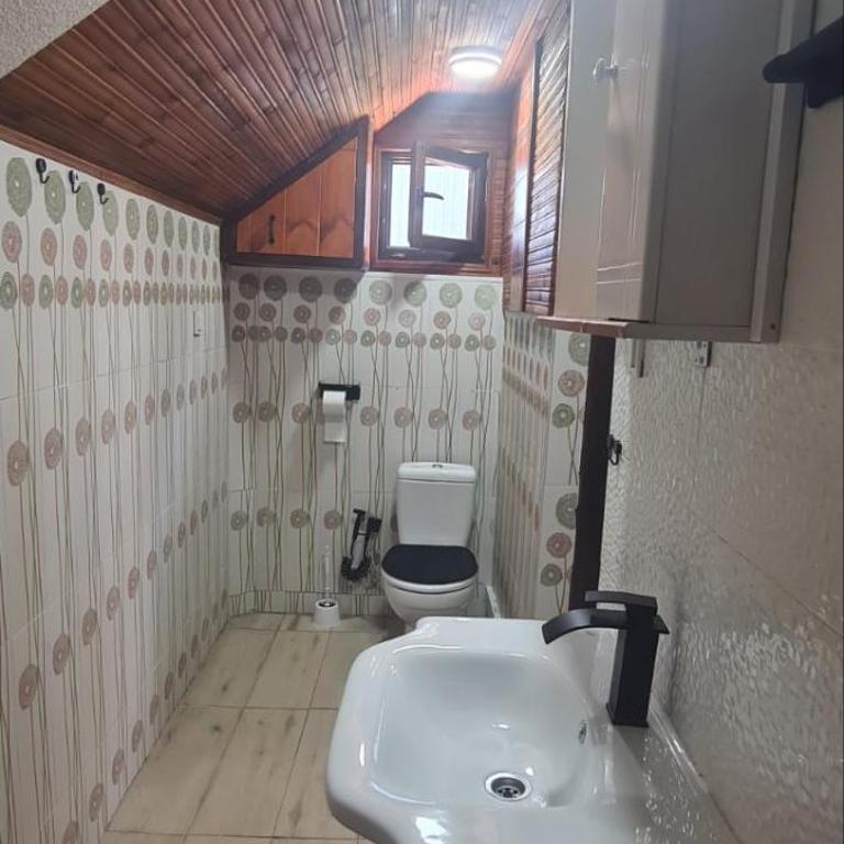 Vikendica Pejovic - One-Bedroom House - 10