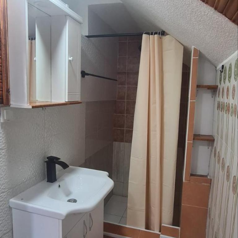 Vikendica Pejovic - One-Bedroom House - 13
