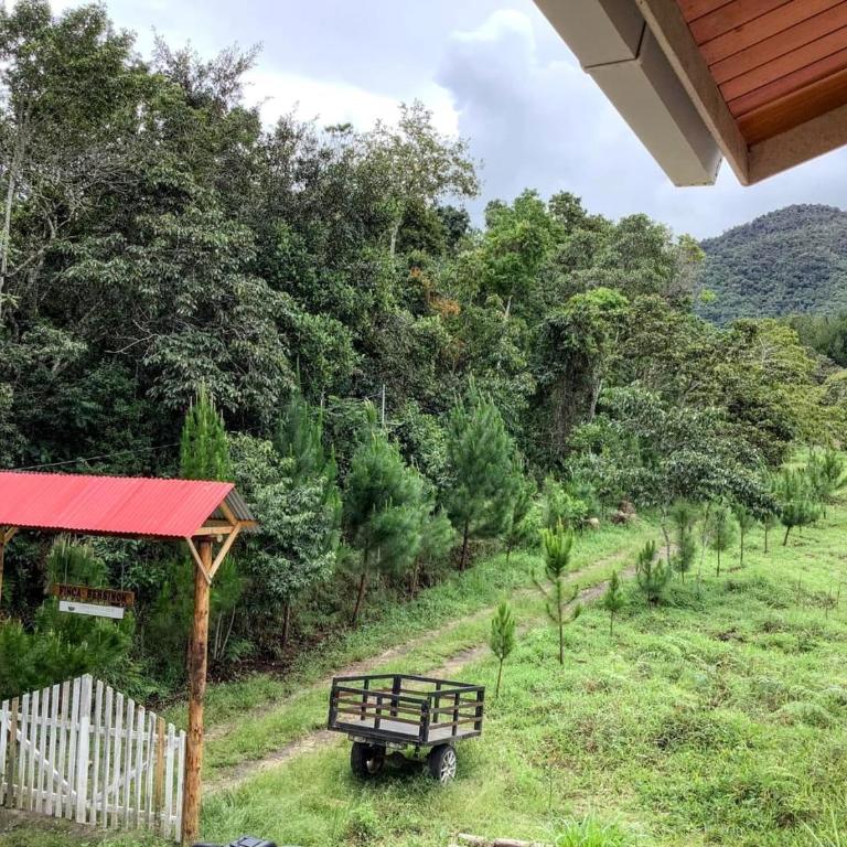 Villa Amaranto Oxapampa - Chalet Superior - 22