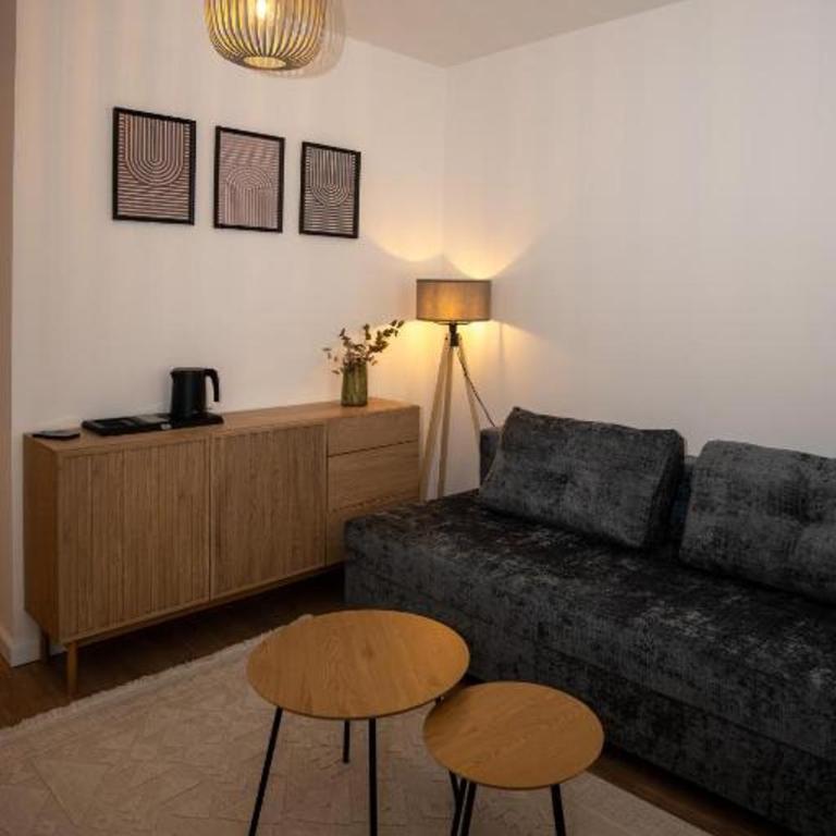 SUITES Hadisulejmanova 23 - Apartman sa 1 Spavaćom Sobom - 8