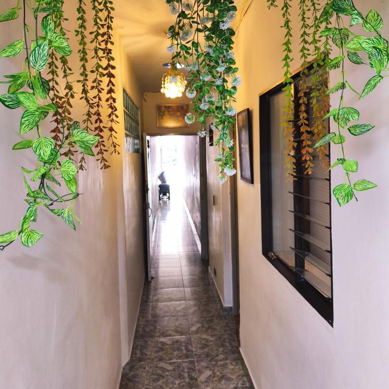 divino niño - Apartamento de 1 dormitorio - 5