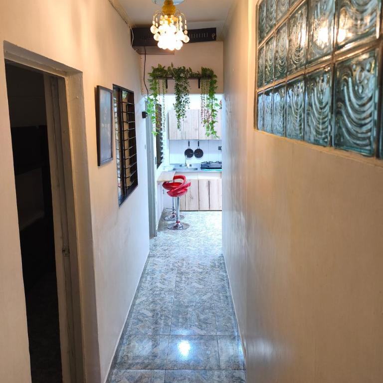 divino niño - Apartamento de 1 dormitorio - 15