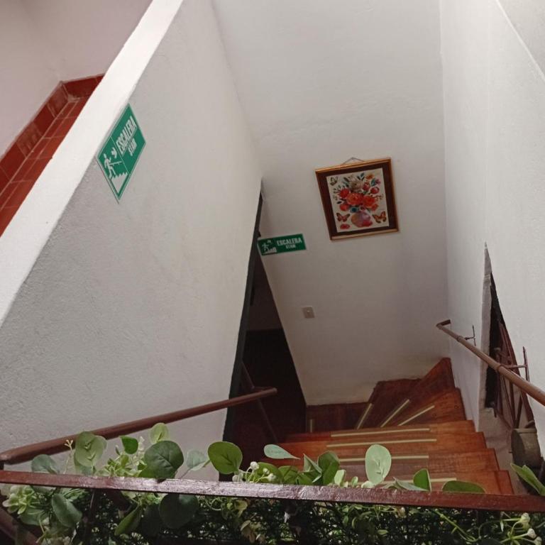 Aparta Hotel Eucalyptus - Basic Triple Room with Shared Bathroom - 7