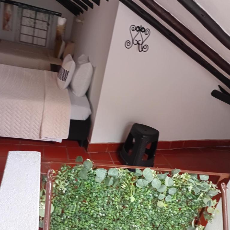 Aparta Hotel Eucalyptus - Basic Triple Room with Shared Bathroom - 9