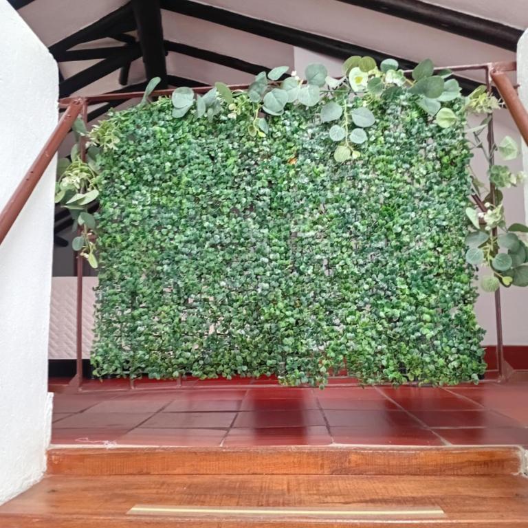 Aparta Hotel Eucalyptus - Basic Triple Room with Shared Bathroom - 13