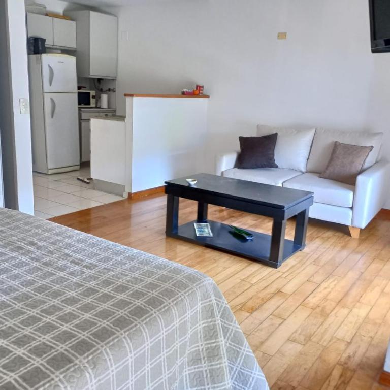 Tranquilo, Luminoso, Excelente ubicación, Seguridad - Apartamento Estudio - 2