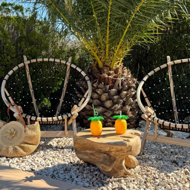 Villa bellevue sainte maxime un écrin de verdure au cœur du sémaphore piscine XXL - Haus mit 3 Schlafzimmern - 8