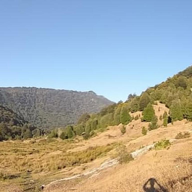 Das Glashaus - Casa de 3 dormitorios - 11