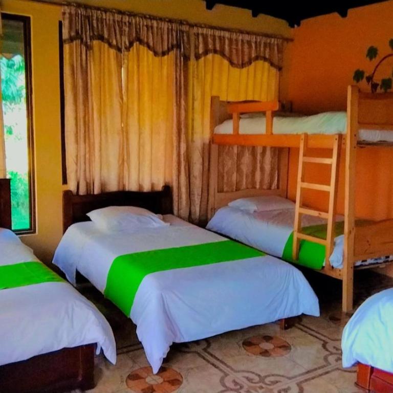 Las Orquídeas Runtun Lodge - Family Room with Private Bathroom - 1