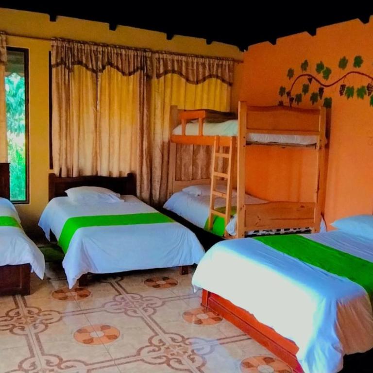 Las Orquídeas Runtun Lodge - Family Room with Private Bathroom - 4