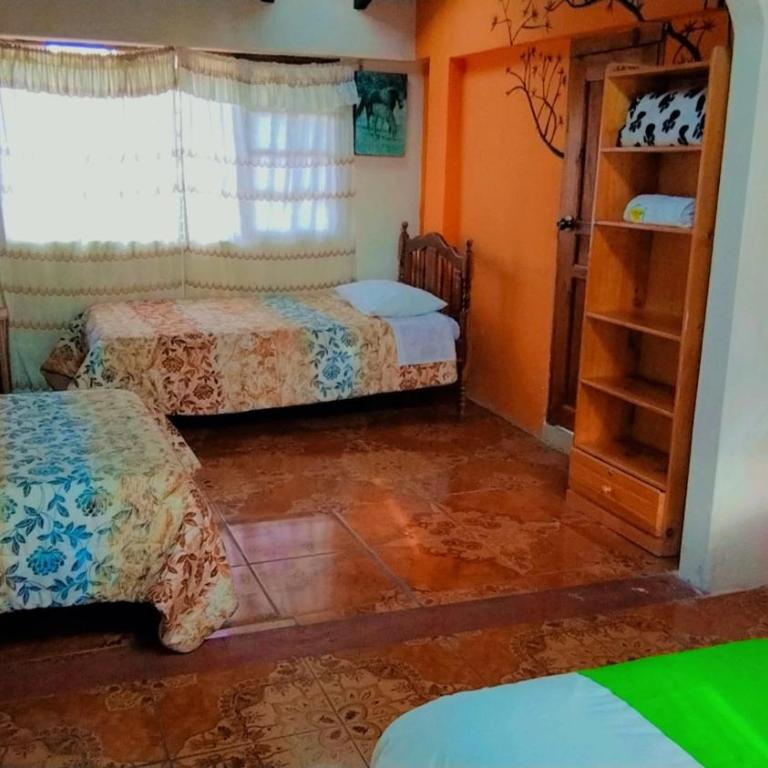 Las Orquídeas Runtun Lodge - Family Room with Mountain View - 2