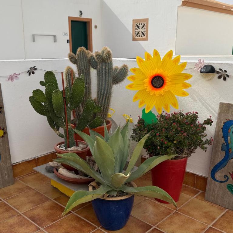 Casa Cuatro Soles - One-Bedroom Apartment - 78