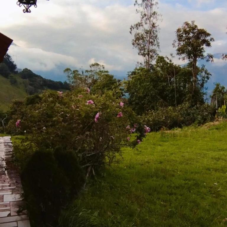 Las Orquídeas Runtun Lodge - Standard Double Room - 2