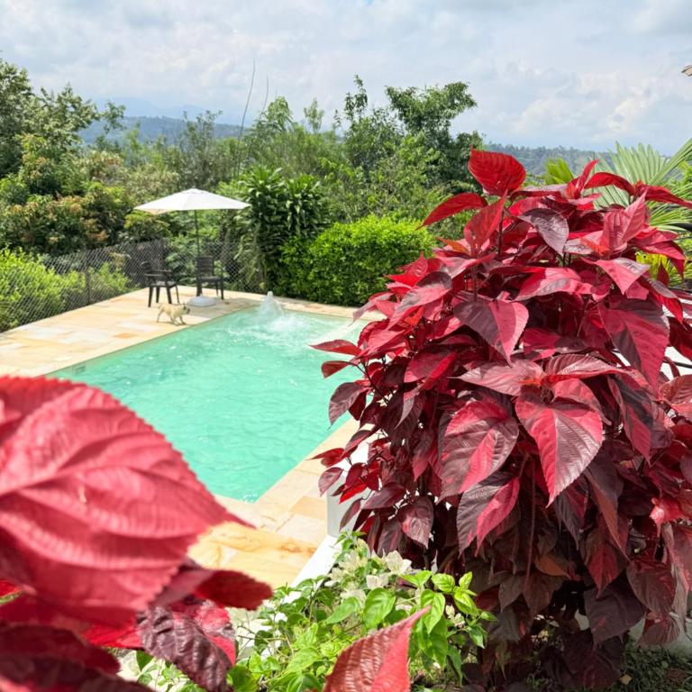 Villa Verde - Casa de 5 dormitorios - 20