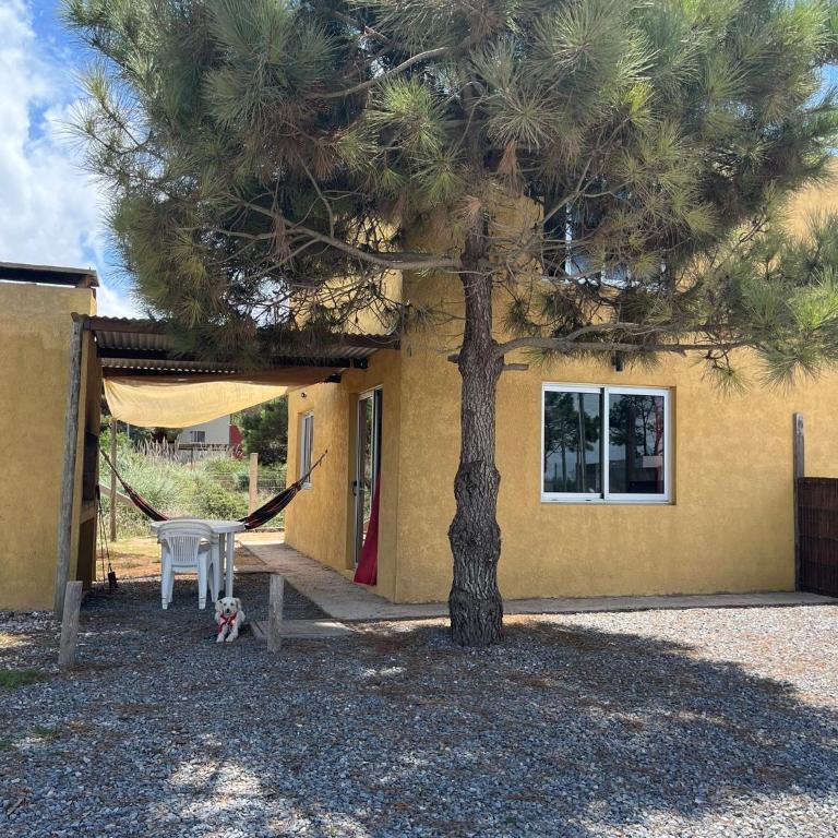 Py aguapy - Casa de 2 dormitorios - 1