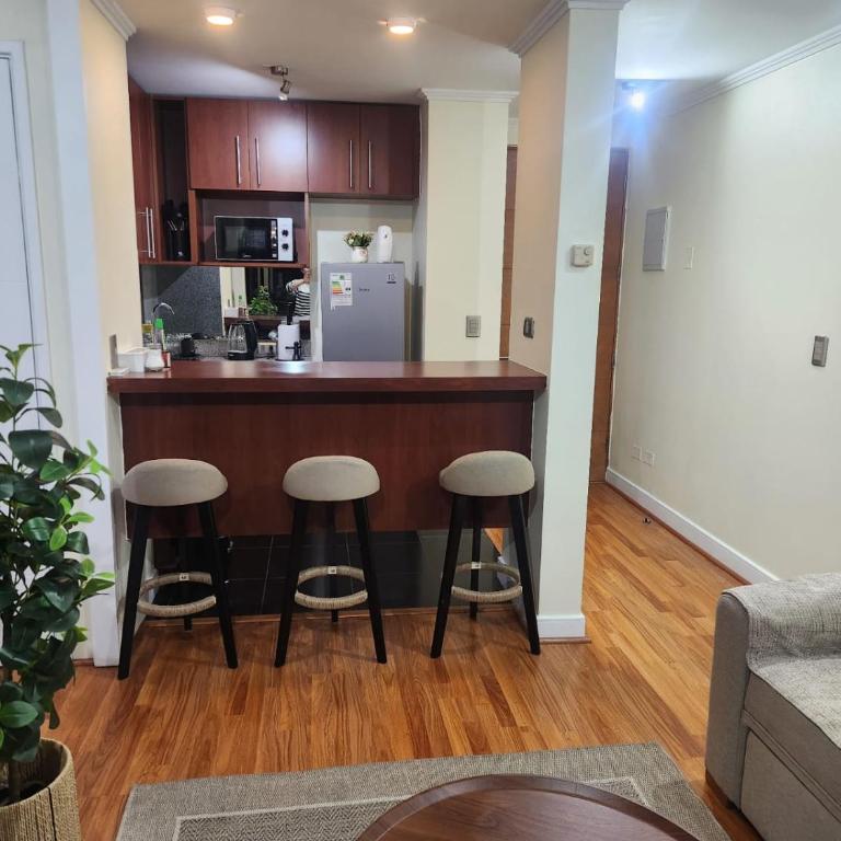 Providencia Apartamentos - One-Bedroom Apartment - 6