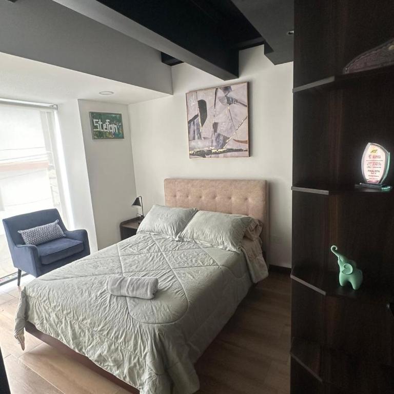 The Yanez Loft - One-Bedroom Apartment - 6