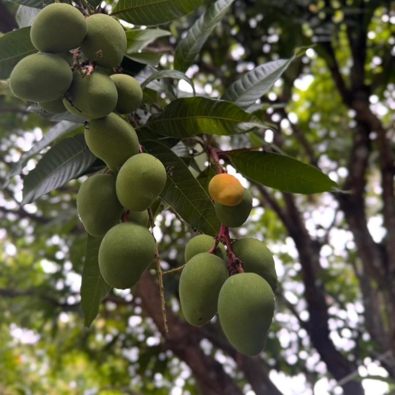 Casa de Mara - Private Retreat - Villa con piscina privada - 19