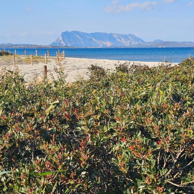 Ambra Beach House - Casa con 1 Camera da Letto - 55