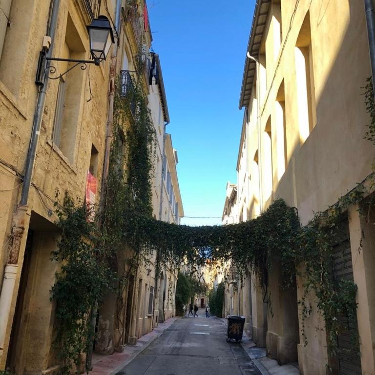 Appartement centre historique Montpellier - Appartamento con 1 Camera da Letto - 24