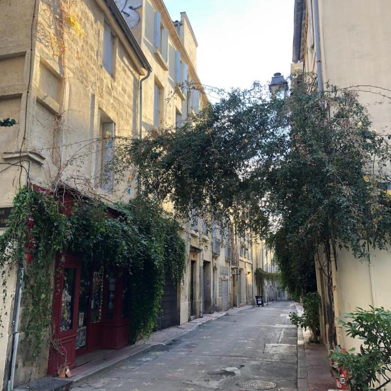 Appartement centre historique Montpellier - Appartamento con 1 Camera da Letto - 37