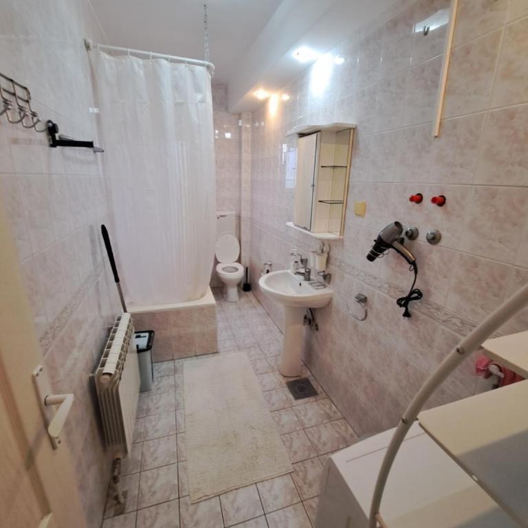 Apartment Gajic - Apartment with Balcony - 14