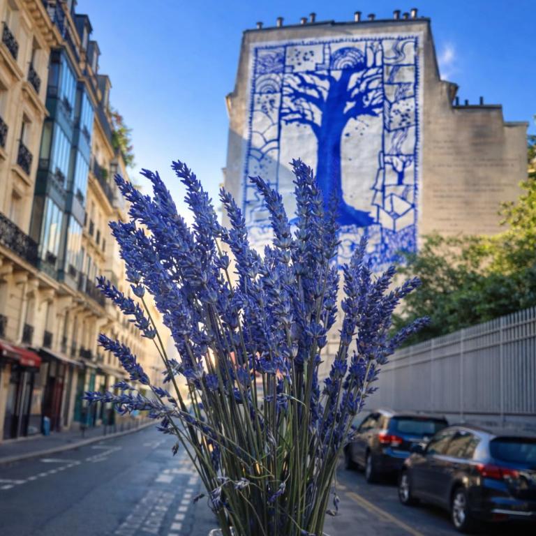 ATHEA Rive Gauche - Appartement 2 Chambres - 25