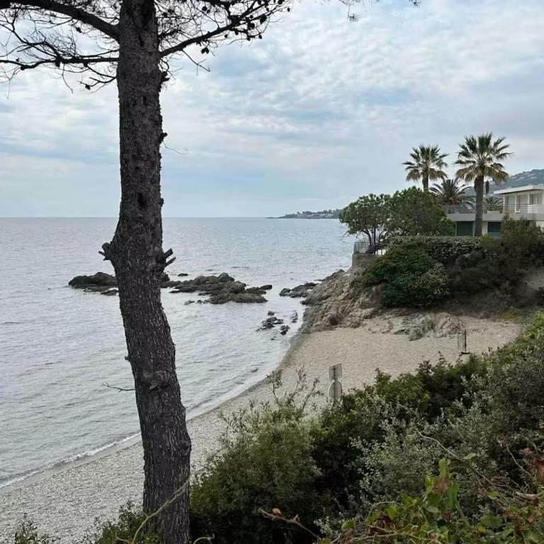 Front de mer Cote Azur Var Frejus Saint Aygulf - Appartement 1 Chambre - 6