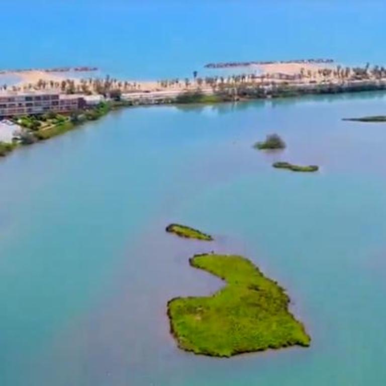 Logement en rez de jardin avec terrasse privée face à la mer ! - Appartamento con 1 Camera da Letto - 22