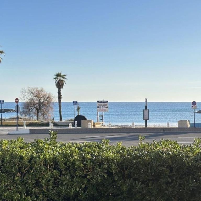 Logement en rez de jardin avec terrasse privée face à la mer ! - Appartamento con 1 Camera da Letto - 6