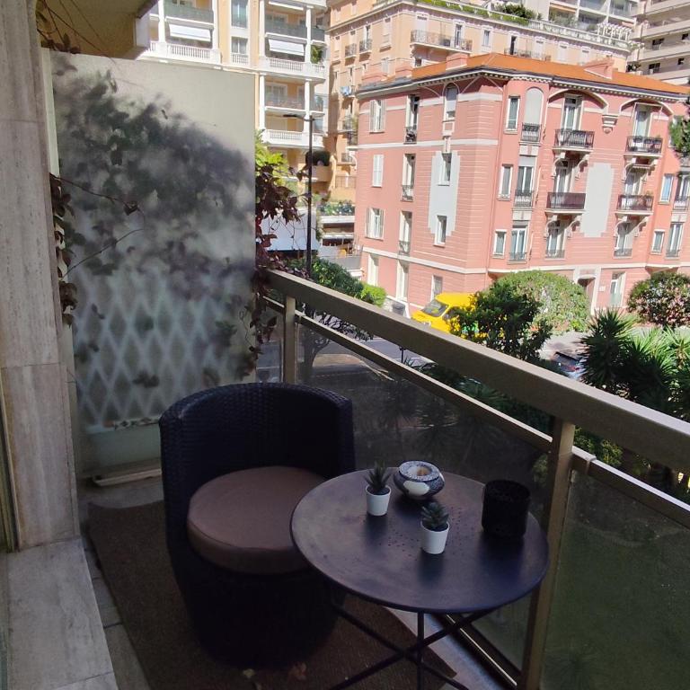 Studio Monaco Centre - Appartement 1 Chambre - 4
