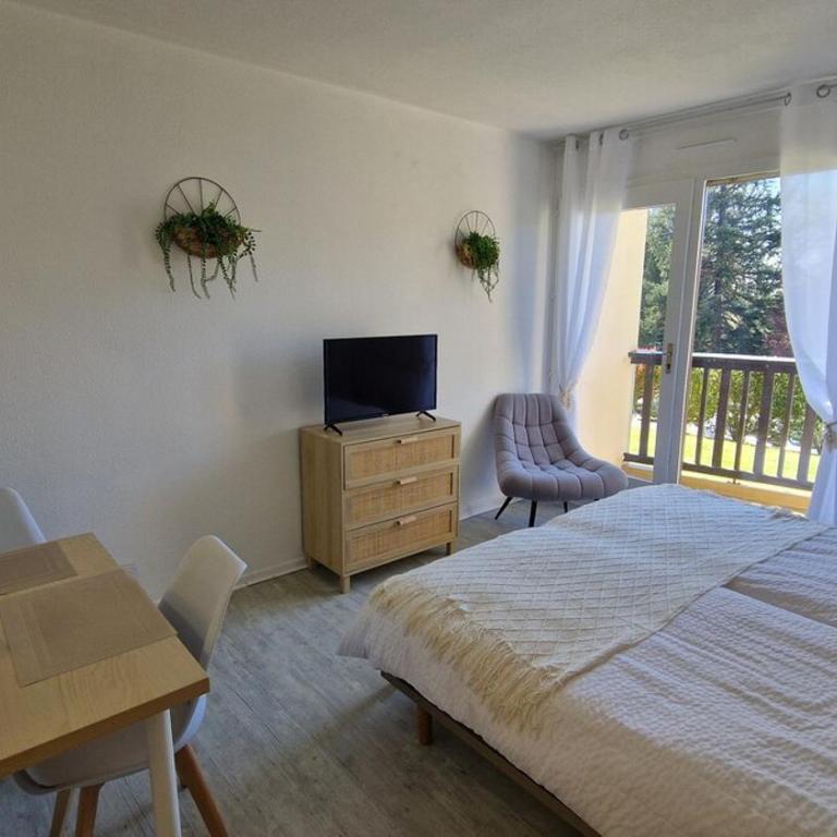 Charmant studio 3 étoiles au cœur de la ville Dax - Appartement 1 Chambre - 1