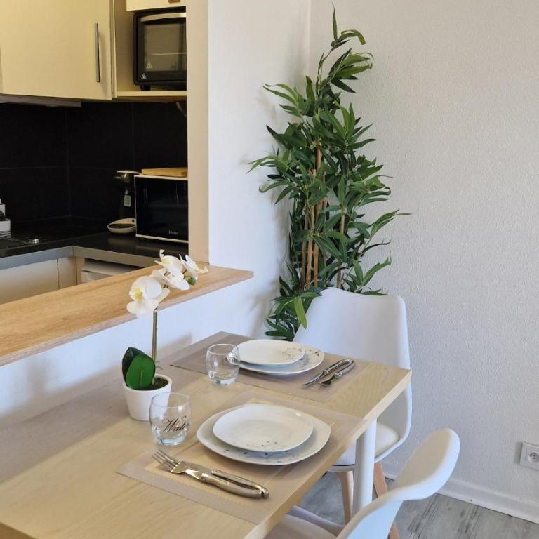 Charmant studio 3 étoiles au cœur de la ville Dax - Appartement 1 Chambre - 14