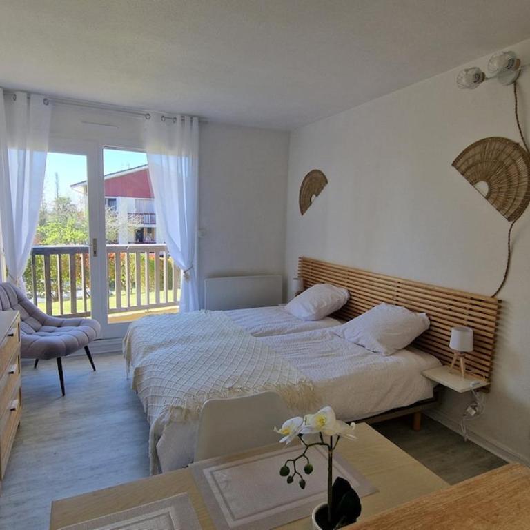 Charmant studio 3 étoiles au cœur de la ville Dax - Appartement 1 Chambre - 16
