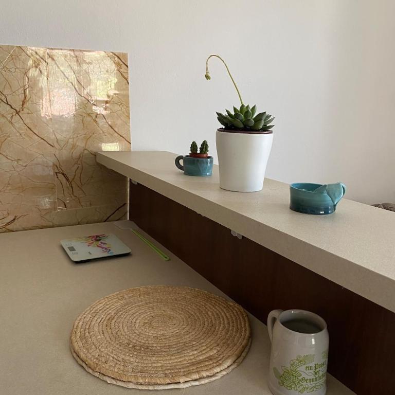 Bela Rada - Apartman sa 1 Spavaćom Sobom - 17