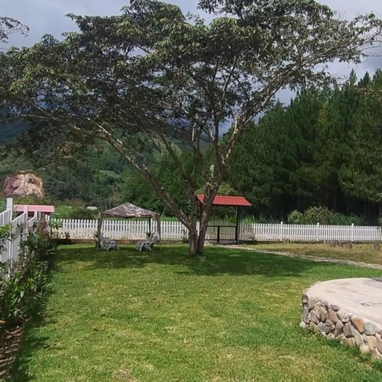 Villa Amaranto Oxapampa - Chalet Superior - 2