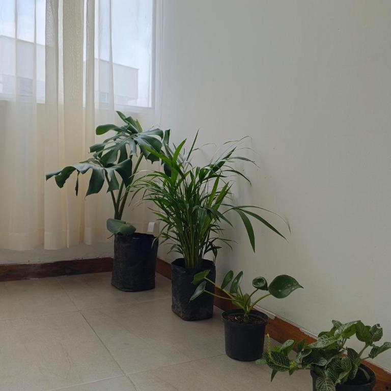 Apartamento Belen - Apartamento de 1 dormitorio - 14