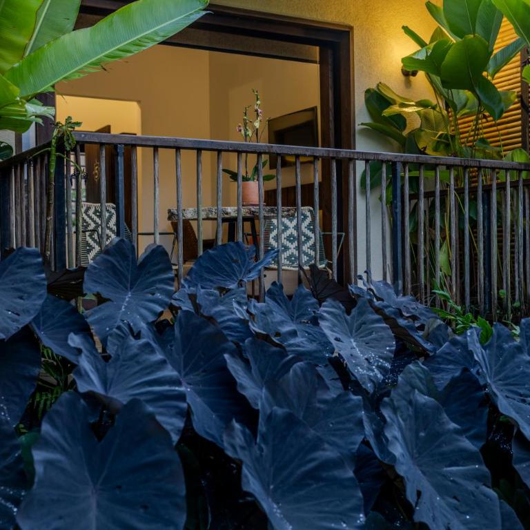Tukki Ecolodge Hotel - Suite - 5