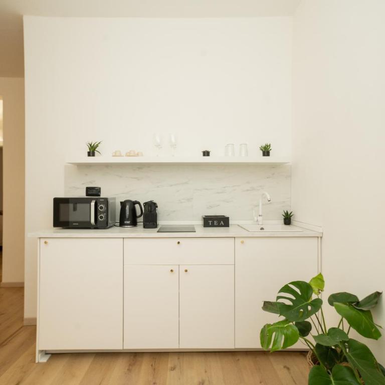 Alatea Valverde - One-Bedroom Apartment - 13