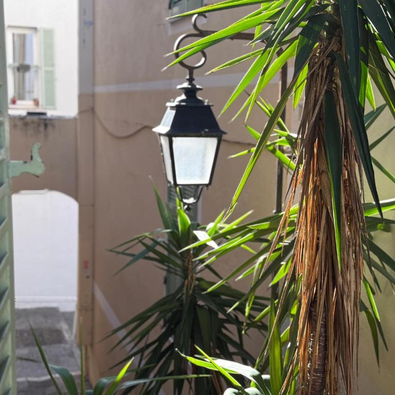B003 Superbe 2 chambres centre Cannes - Appartement - 24