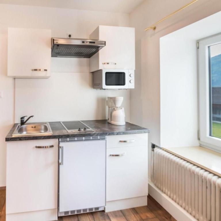 Mentenwirt Pension&Appartements - Apartment mit 1 Schlafzimmer mit Stadtblick - 4