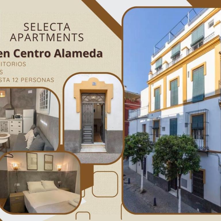 Selecta Casa central Alameda - Casa - 1