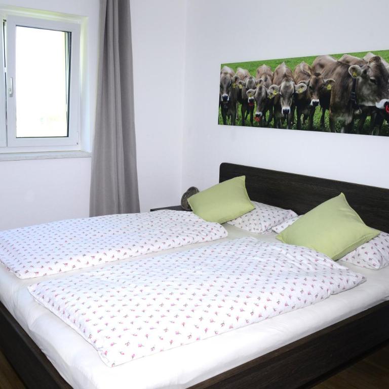 Kuh Heimat - Bergblick - Terrasse - Apartment mit 2 Schlafzimmern und Bergblick - 10